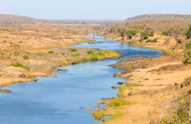 Der Blick über das weite Buschland des
Krüger Parks. Manche Restcamps liegen an Flüssen und bieten so schon vom Camp aus tolle Wild-Beobachtungsmöglichkeiten. suedafrika-krueger-park-olifants-river