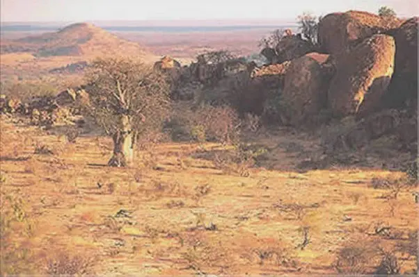 Eine ganz andere Szenerie erwartet Sie
jenseits der Grenze in Botswana. Der Busch ist trockener, das Gelände
bergig & schroff. Ein ideales Terrain für große Elephantenherden, zahlreiche Katzen
und viele Antilopenarten. suedafrika-mashatu-ausblick