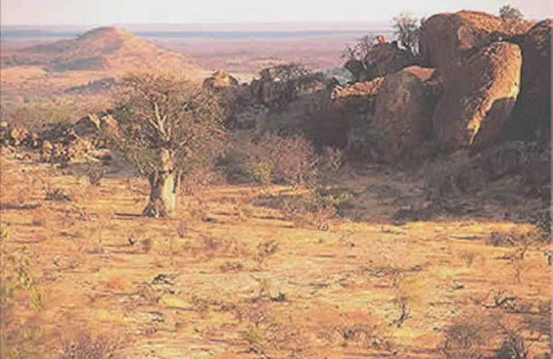 Eine ganz andere Szenerie erwartet Sie
jenseits der Grenze in Botswana. Der Busch ist trockener, das Gelände
bergig & schroff. Ein ideales Terrain für große Elephantenherden, zahlreiche Katzen
und viele Antilopenarten. suedafrika-mashatu-ausblick