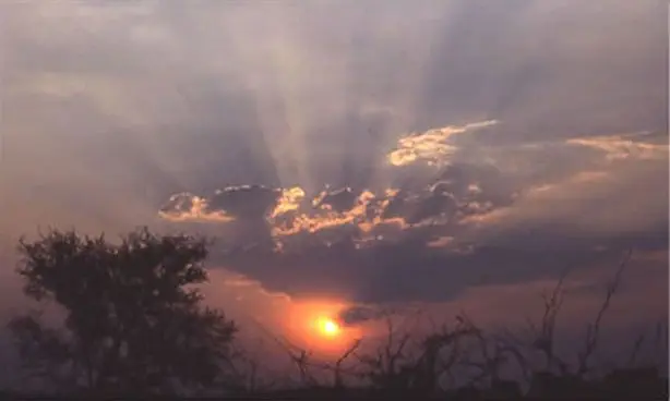 Jeder Tag in Südafrika steckt voller
Erlebnisse, Erfahrungen, Eindrücke und
Wunder. Die Sonnenuntergänge sind
zumeist magisch und bleiben unvergessen. suedafrika-mashatu-sonnenuntergang
