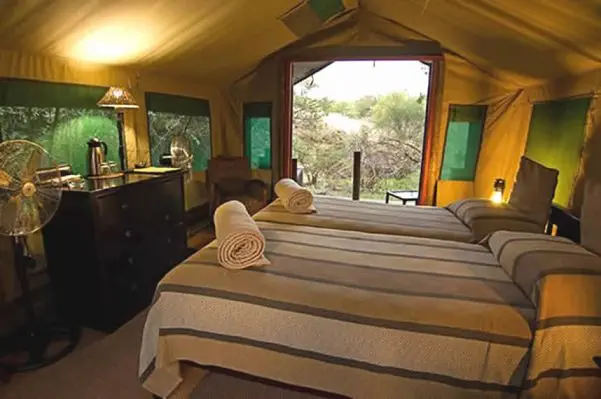 Ihre Unterkunft im romantischen
Mashatu Tent Camp. Große Zelte mit bequemen Betten, einem eigenen Badezimmer und genug Raum, um
sich wohl fühlen zu können. suedafrika-mashatu-zelt