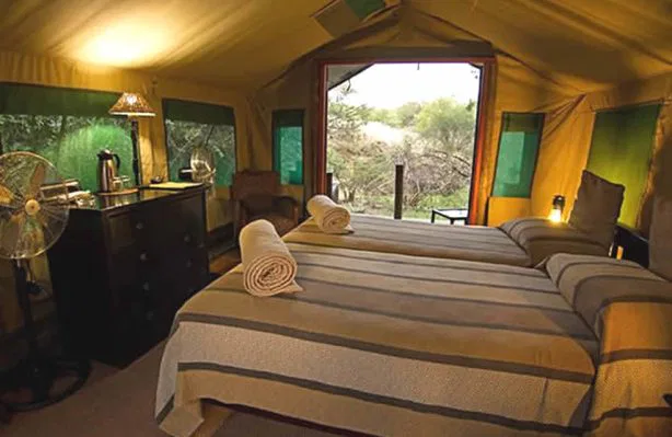 Ihre Unterkunft im romantischen
Mashatu Tent Camp. Große Zelte mit bequemen Betten, einem eigenen Badezimmer und genug Raum, um
sich wohl fühlen zu können. suedafrika-mashatu-zelt