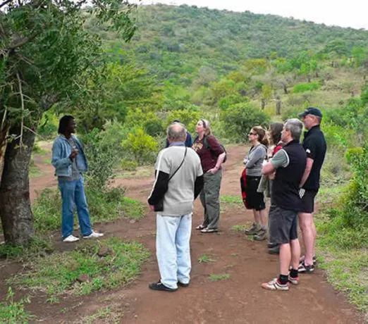 Aber auch zu Fuß geht's durch die Wildnis und so entdecken Sie die "kleinen Dinge" am Wegesrand... suedafrika-mkuze-fussafari