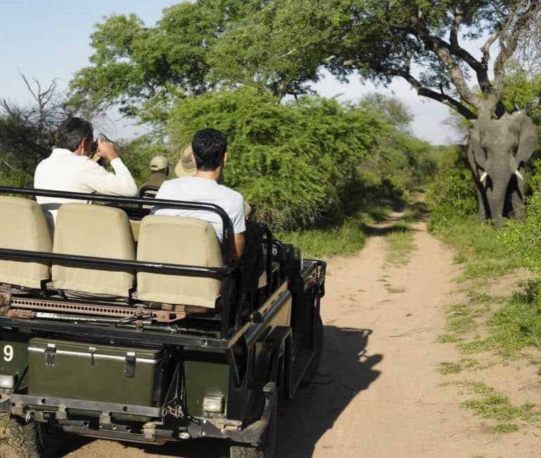 Wildbeobachtungsfahren - im Krüger
Nationalpark fahren Sie mit ihrem
eigenen Pkw, in den privaten
Wildschutzgebieten im offenen
Geländewagen mit Ihrem Wildhüter. suedafrika-pirschfahrt-elephant