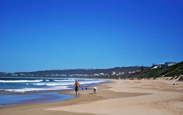 Plettenberg Bay - der wohl bekannteste
Ferienort an der Garden Route mit schier endlosen Sandstränden. suedafrika-plettenberg-strand1