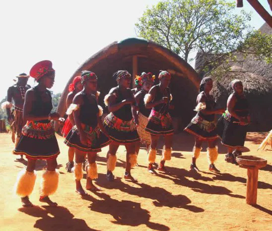 KwaZulu-Natal ist die historische Heimat
des Zulu Volkes. Besuchen Sie einen authentischen Kraal und erfahren Sie Viel über die Geschichte der Zulu. suedafrika-shakaland-saenger