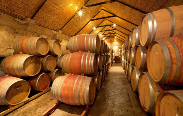 Besuche von Weingütern gehörten in Ihr Programm, denn es ist interessant,hinter die Kulissen der Weinherstellung zu schauen. Lange Gänge, feuchtkühle Luft in den Produktions- & Lagerhäusern und der würzig-herbe Duft uralter Eichenfässer, in denen die köstlichen Tropfen reifen!