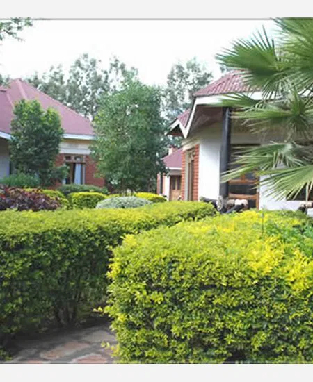 tansania-karatu-bougainvillea-lodge