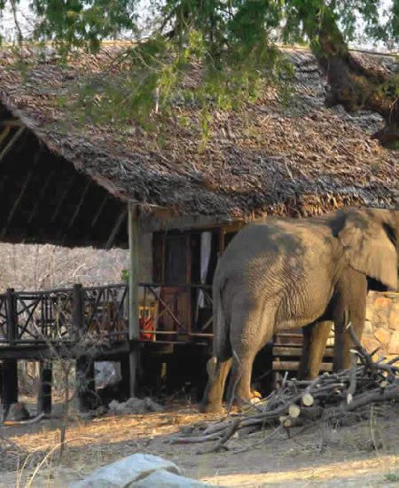 Die Chalets des Ruaha River Camp, verteilt am Uferrand, bieten allen Komfort & tollen Ausblicke.