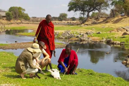 Der Selous National Park ist beliebt für Fußsafaris. Auf diese Weise erleben Sie den Busch viel intensiver.