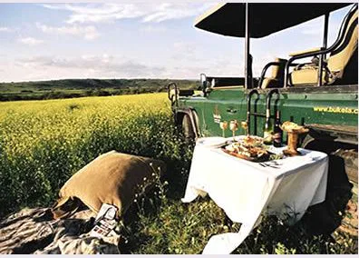 ...und anschließend ein Picknick mitten im Busch