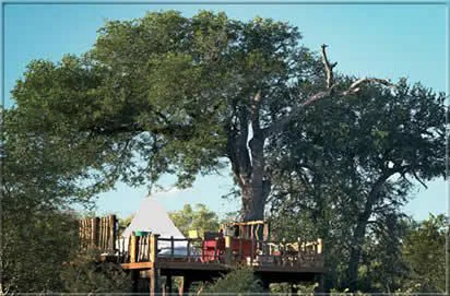 Wie wär's mit der Hochzeitsnacht auf dem "Sleep-Out-Deck"...