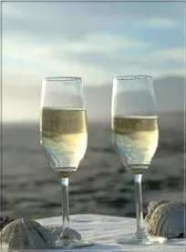 Stilvol geht's weiter - mit einem "Sundowner".