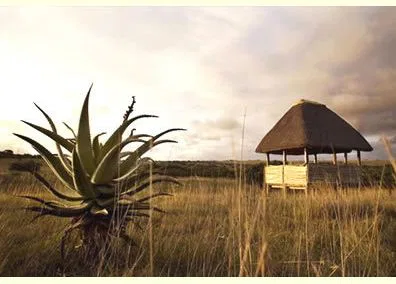 Ort der Zeremonie - mit dieser Aussicht...