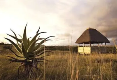 Ort der Zeremonie - mit dieser Aussicht...