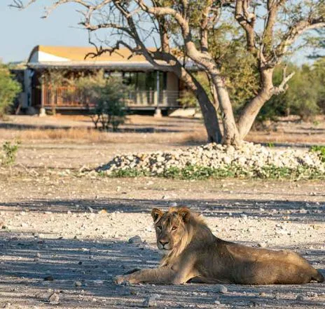 Luxuriöse Zeltunterkünfte in Namibia's Tierwelt: zum Abschluß Ihrer Safari erwartet Sie Andersons Camp
