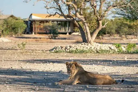 Luxuriöse Zeltunterkünfte in Namibia's Tierwelt: zum Abschluß Ihrer Safari erwartet Sie Andersons Camp