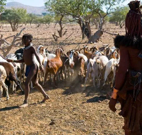 Das Kaokoveld - Heimat der Himba, denen Sie unterwegs immer einmal begegnen können.