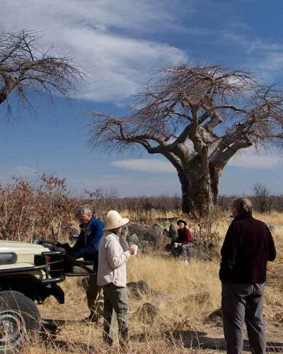 Oder ein Ausflug in den Nxai Pan National Park zu den berühmten "Baines' Baobab Trees"