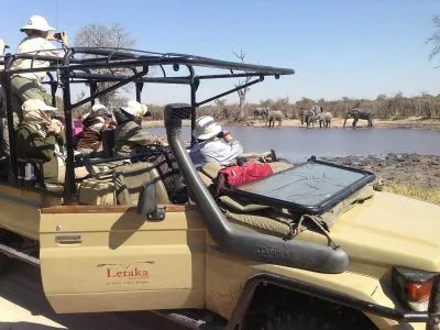 ...beobachten das Wild an Flußufern und Lagunen