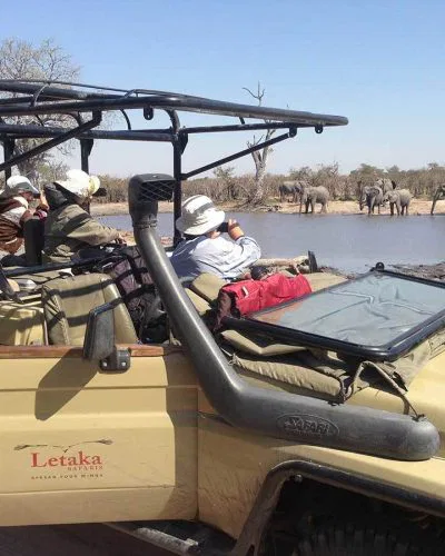 ...beobachten das Wild an Flußufern und Lagunen