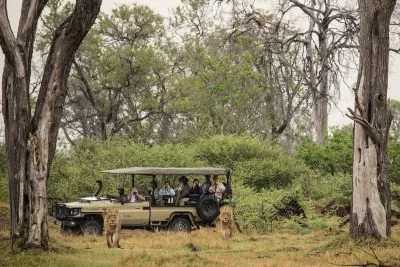 Botswana besticht durch sehr unterschiedliche Landschaften. So durchqueren Sie Waldgebiete...