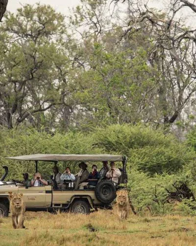 Botswana besticht durch sehr unterschiedliche Landschaften. So durchqueren Sie Waldgebiete...