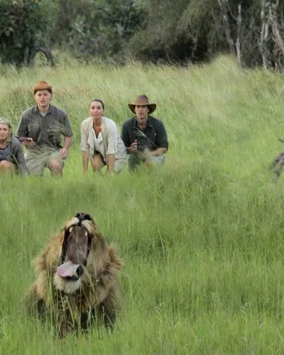 Ein besonderes Highlight sind Fußsafaris, die Ihre Guides mit Ihnen in bestimmten Konzessionsgebieten unternehmen