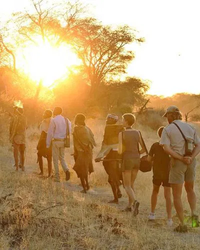Zu den angebotenen Aktivitäten zählen Busch Wanderungen mit den einheimischen San, die dem Gast "ihre Heimat" näherbringen