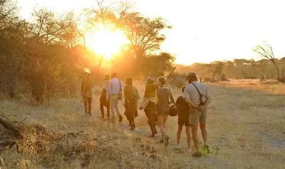 Zu den angebotenen Aktivitäten zählen Busch Wanderungen mit den einheimischen San, die dem Gast "ihre Heimat" näherbringen