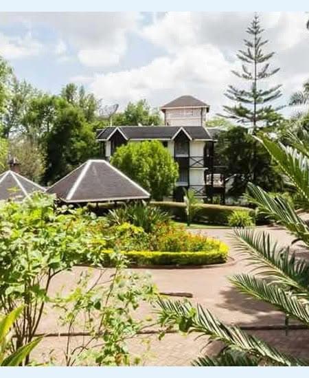 tansania-moshi-aishi-machame-hotel