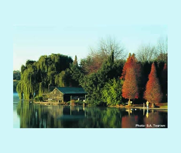 Auch das ist Johannesburg -
idyllische, zauberhafte Natur suedafrika-johannesburg-see