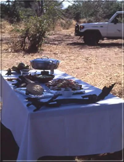 Ihre Verpflegung ist schmackhaft, vielfältig & abwechslungsreich. Picknick-Lunches mitten im Busch sind zusätzliche Highlights.