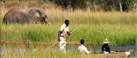 Im Okavango Delta erleben Sie Tierbeobachtungen vom "Mokoro" (Einbaum) aus. botswana-mokoro