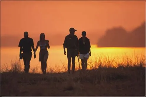 Dieses sind die unvergeßlichen Momente
eines Tages in Botswana. Wen wundert es da noch, daß so viele
Besucher dem Busch und seinem Zauber
erliegen...?