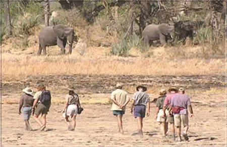 Zu Fuß erkundet Ihr die zahlreichen Inseln des Okavango Deltas. botswana-walking-safari
