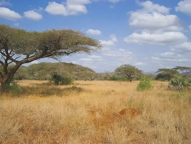 Die tier- & artenreichen Wildgebiete Kwa-Zulu/Natal's stehen im Focus dieser Tour. mosambik-mkuze