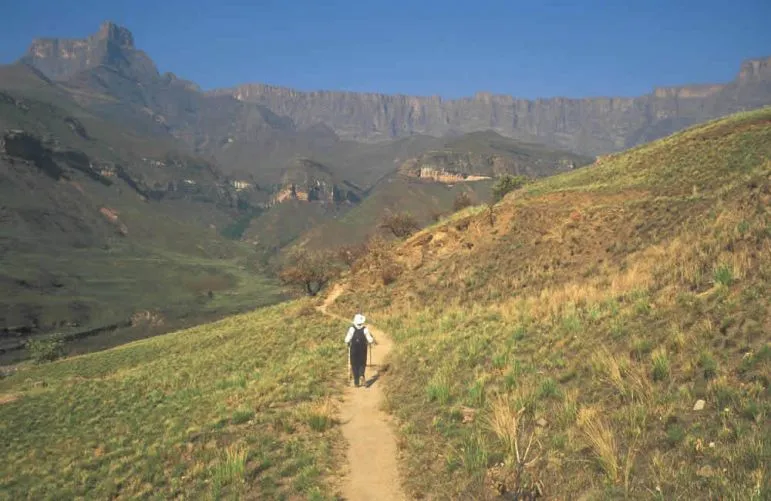 Wanderwege führen in schwindelerregende
Höhen.
Reizvoll sind die drastischen Kontraste
zwischen üppiger Vegetation und
schroffen Gipfeln. suedafrika-drakensberge-wanderung