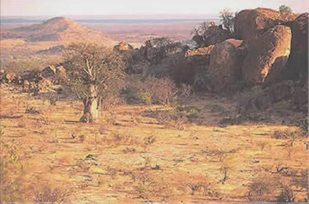 Eine ganz andere Szenerie erwartet Sie
jenseits der Grenze in Botswana. Der Busch ist trockener, das Gelände
bergig & schroff. Ein ideales Terrain für große Elephantenherden, zahlreiche Katzen
und viele Antilopenarten. suedafrika-mashatu-ausblick
