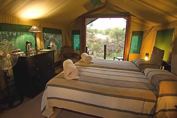Ihre Unterkunft im romantischen
Mashatu Tent Camp. Große Zelte mit bequemen Betten, einem eigenen Badezimmer und genug Raum, um
sich wohl fühlen zu können. suedafrika-mashatu-zelt