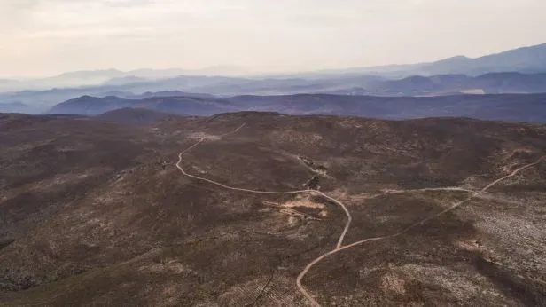 Die lange Etappe nach Oudtshoorn ist am abwechslungsreichsten über die Route 62, durch die ariden Halbwüstengebiete der Kleinen Karoo. suedafrika-route62