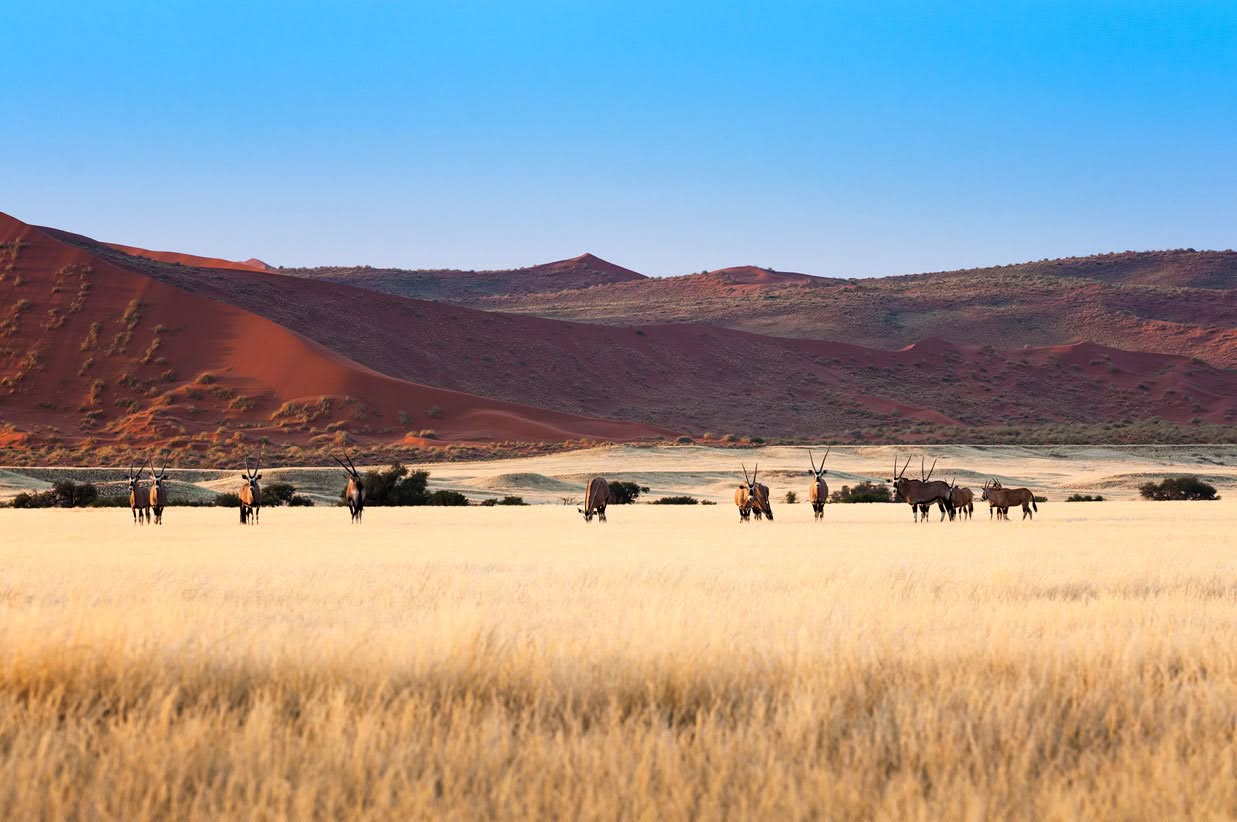 Namibia-Camping-Safari