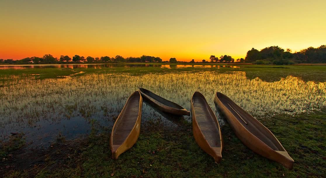 okavango