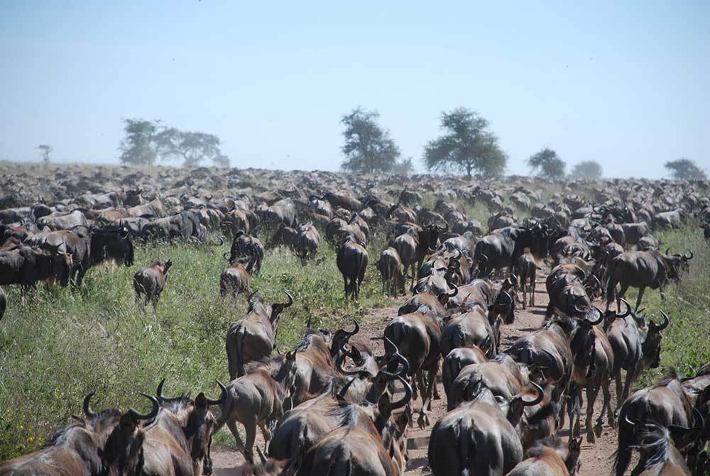 Tanzania