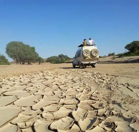Trockene Flußbetten sind in Namibia ein typischer Anblick - und dienen auch als Fahrpiste