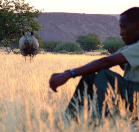 Höhepunkt Fußsafari: Ihr Guide lehrt Sie im Spurenlesen.